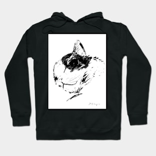 Badger the Cat Hoodie